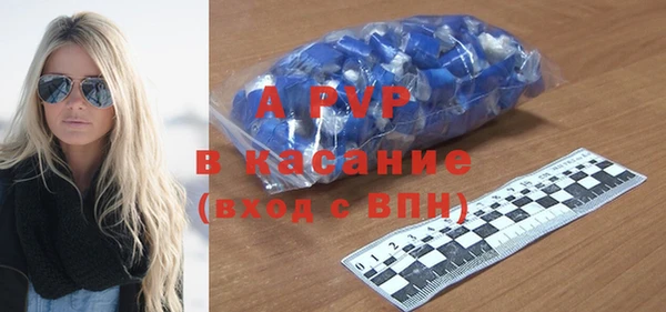 стафф Богданович