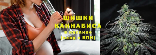PSILOCYBIN Богородицк